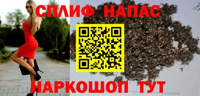 mdpv Обнинск