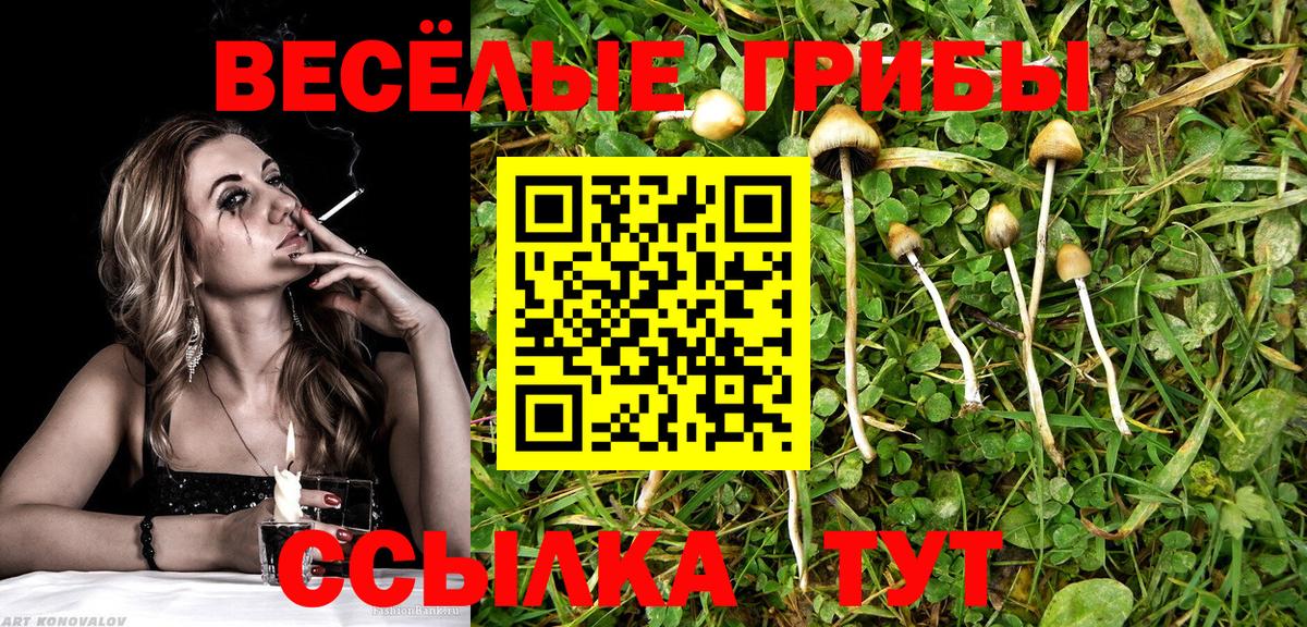 Псилоцибиновые грибы MAGIC MUSHROOMS Саранск