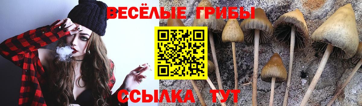 Псилоцибиновые грибы Psilocybine cubensis  Вход с VPN  Галлюциногенные грибы Magic Shrooms  Саранск 